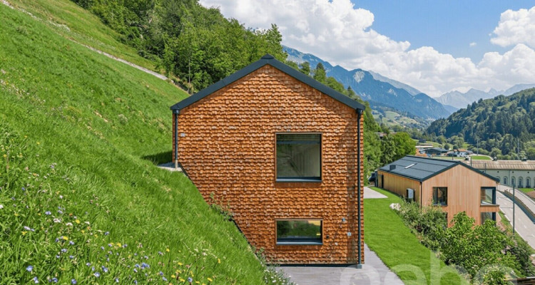 Moderne Architektur und grosszügiges Wohnen in Küblis image 11