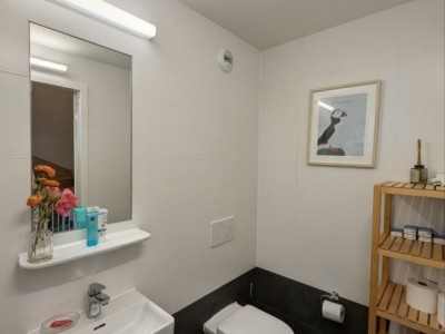 Duplex d’exception avec vue panoramique sur Genève – Chêne-Bourg image 7