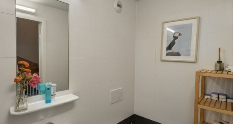 Duplex d’exception avec vue panoramique sur Genève – Chêne-Bourg image 7