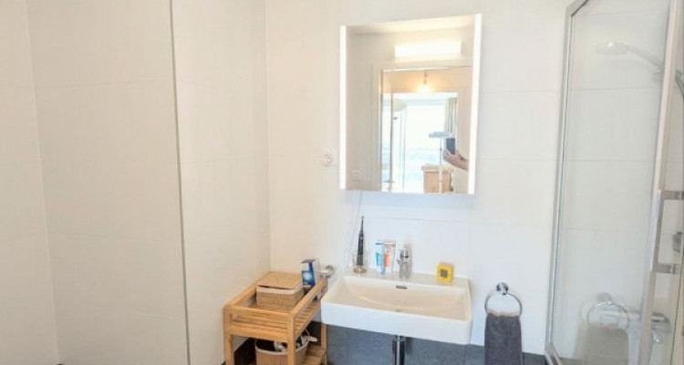 Duplex d’exception avec vue panoramique sur Genève – Chêne-Bourg image 6