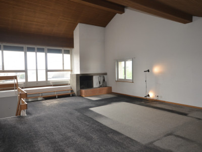 Magnifique duplex en attique image 4