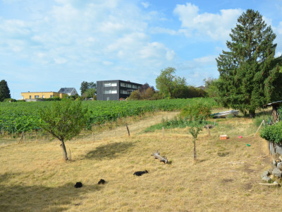 Magnifique duplex en attique image 12