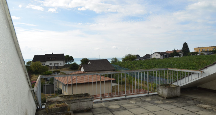 Magnifique duplex en attique image 8