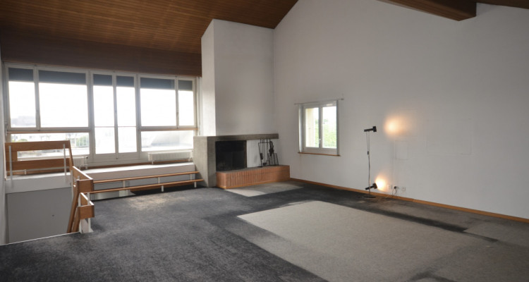 Magnifique duplex en attique image 4