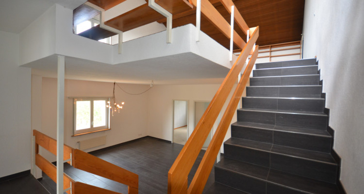 Magnifique duplex en attique image 3