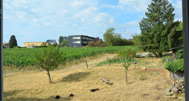 Magnifique duplex en attique image 12