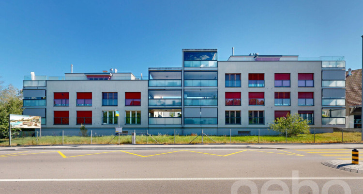 Moderne 4.5-Zimmer-Gartenwohnung mit grosszügiger Terrasse image 12