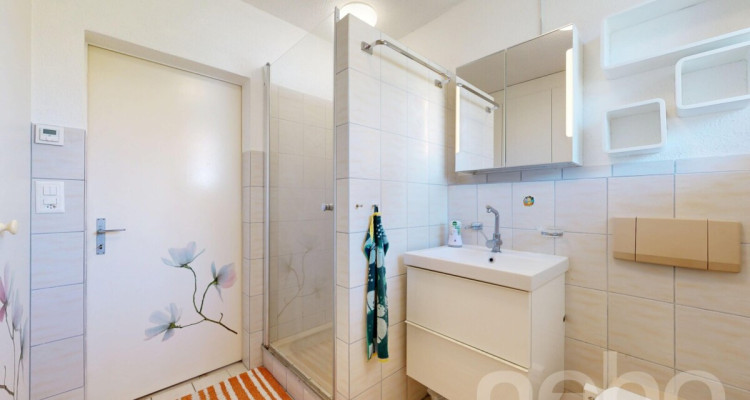 Charmantes 5.5 Zimmer Einfamilienhaus mit zusätzlichen Räumlichkeiten image 10