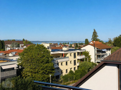 Attikawohnung mit 230 m2 Terrasse, Privatlift und Seesicht image 8