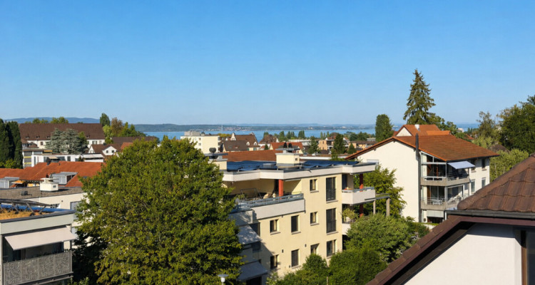 Attikawohnung mit 230 m2 Terrasse, Privatlift und Seesicht image 8