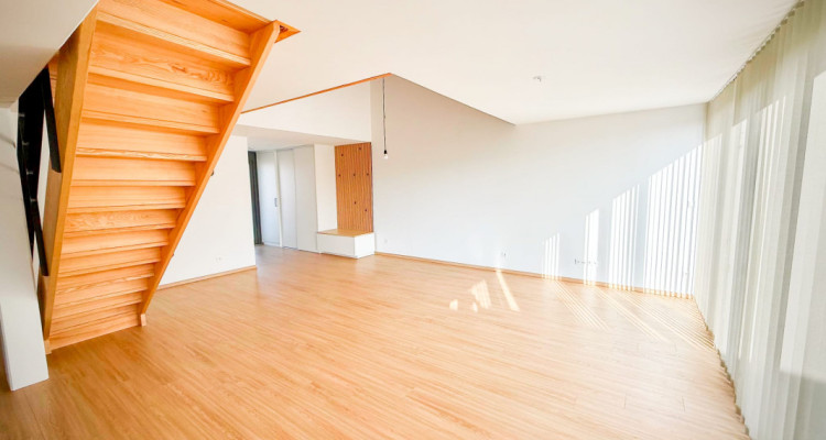 Loft-Penthouse et son Rooftop à 360°, à la frontière en France image 6