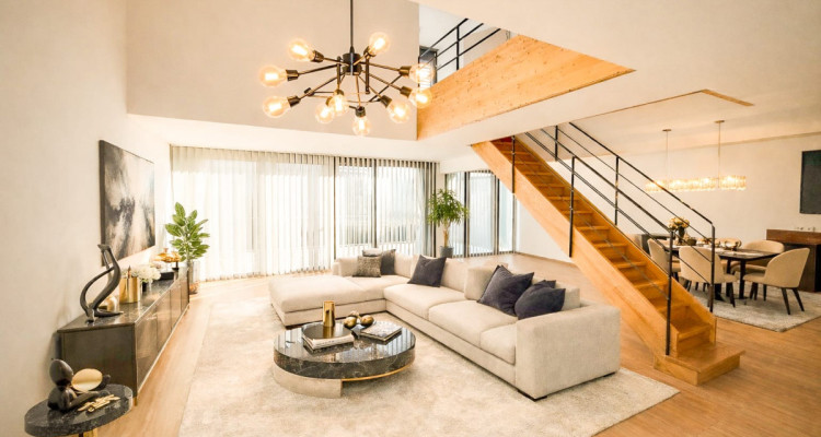 Loft-Penthouse et son Rooftop à 360°, à la frontière en France image 1