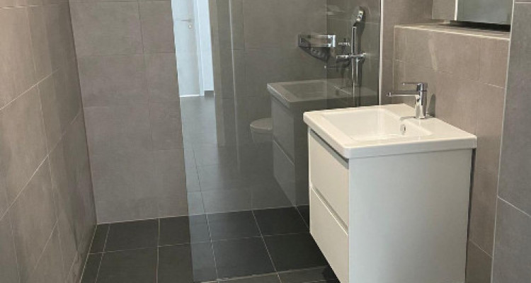 🏡 Appartement neuf 4,5 avec jardin privatif 252m2 image 5
