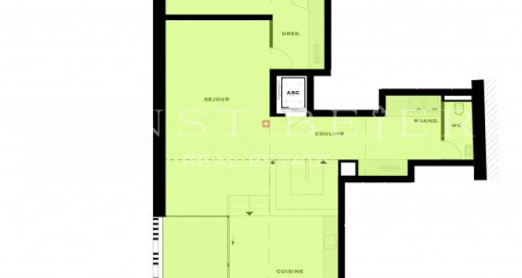 PROMOTION SUR PLANS - Magnifique duplex de standing 6 pièces avec loggia - 189m2 image 10
