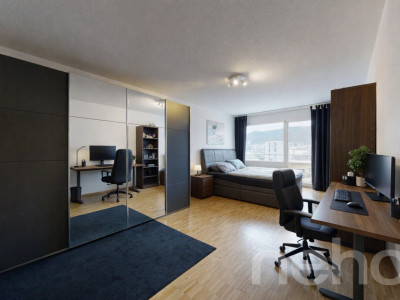Grosse 5.5-Zimmer Wohnung mit unverbaubarer Aussicht in Schlieren image 8