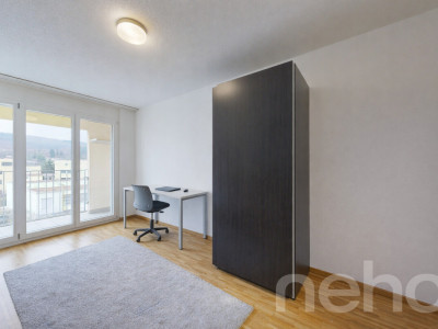 Grosse 5.5-Zimmer Wohnung mit unverbaubarer Aussicht in Schlieren image 9