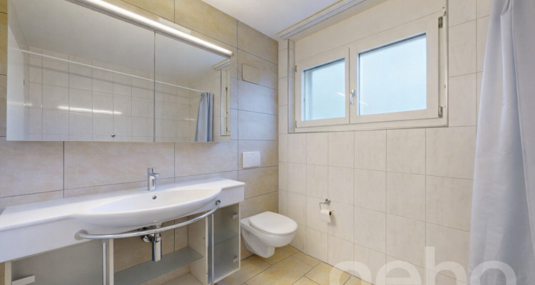 Grosse 5.5-Zimmer Wohnung mit unverbaubarer Aussicht in Schlieren image 5