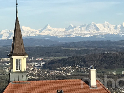 Grosszügige Attikawohnung mit Blick auf die Alpen image 11