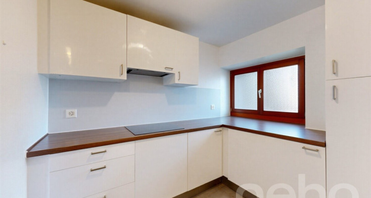 Charmant studio de 34 m² avec place de parc et grande cave image 3