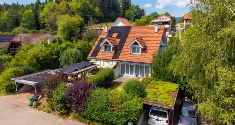 Wo Träume Wände bekommen image 1