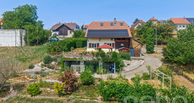 Maison rénovée avec jardin, étang et vue dégagée à 5 min d?Avenches image 3
