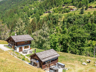 Chalet authentique avec dépendance de charme image 3