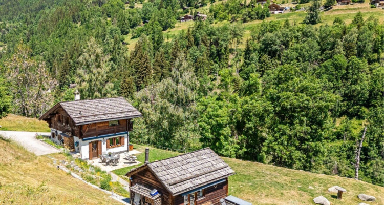 Chalet authentique avec dépendance de charme image 3