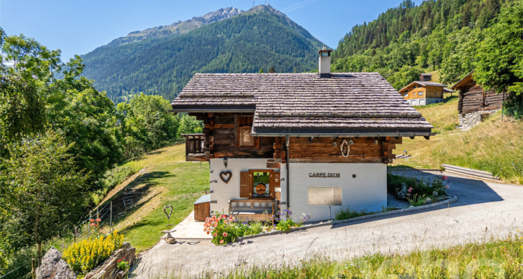 Chalet authentique avec dépendance de charme image 11
