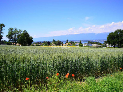 Belle villa Familiale image 1