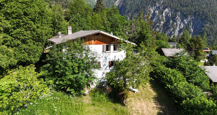 Chalet mitoyen avec cachet dans un environnement paisible et verdoyant image 11