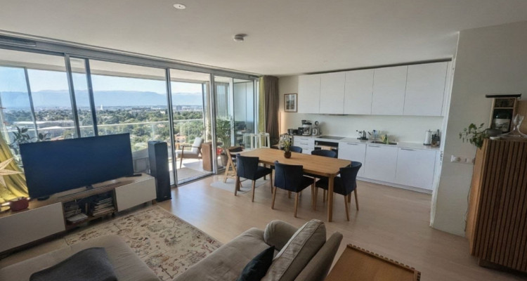 Duplex d’exception avec vue panoramique sur Genève – Chêne-Bourg image 1