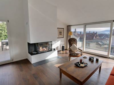 Appartement triplex avec studio indépendant image 1