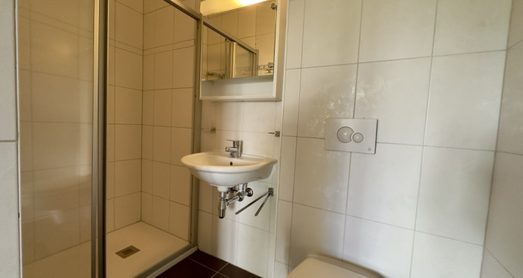 Appartement de 5.5 pièces situé au rez-de-chaussée image 9