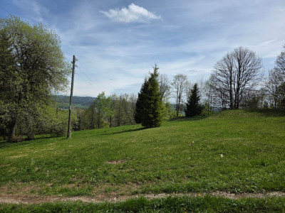 Chalet situé sur une vaste parcelle ensoleillée et cadre de vie privilégié image 4