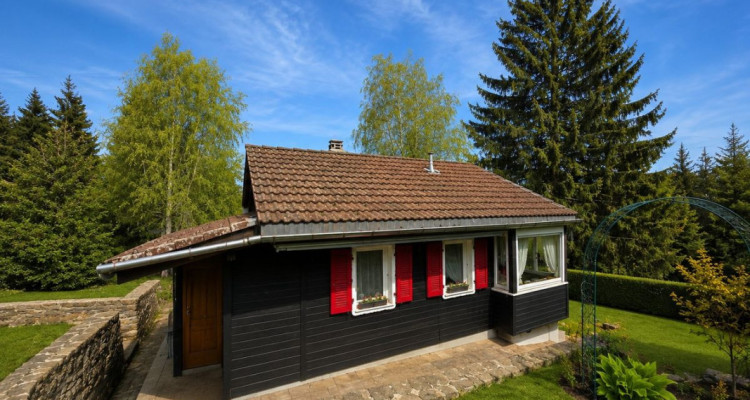 Chalet situé sur une vaste parcelle ensoleillée et cadre de vie privilégié image 1