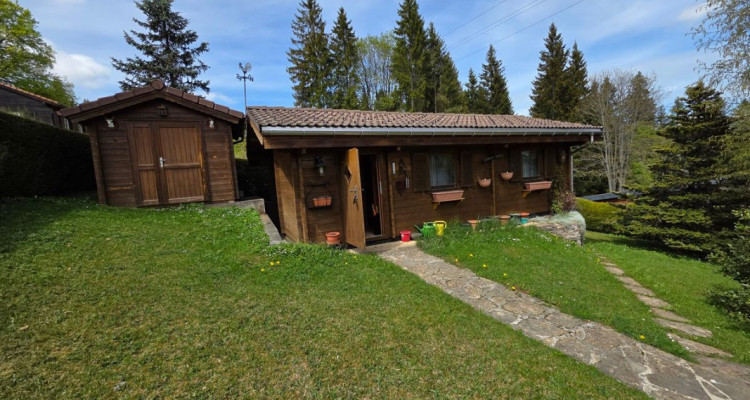 Chalet situé sur une vaste parcelle ensoleillée et cadre de vie privilégié image 3