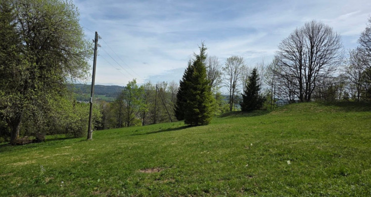 Chalet situé sur une vaste parcelle ensoleillée et cadre de vie privilégié image 4