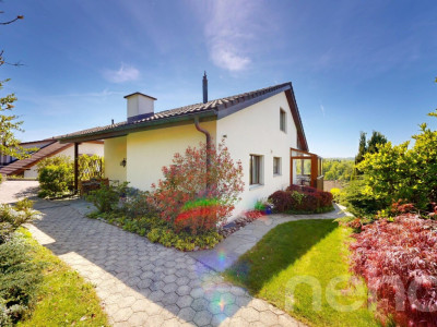 Freistehendes 6.5-Zimmer-Einfamilienhaus mit unverbaubarer Aussicht image 3