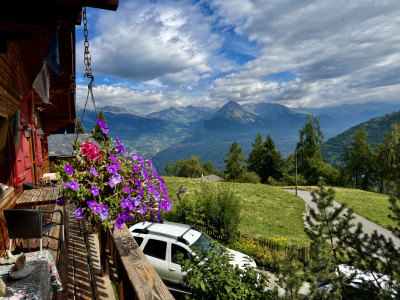 CHALET INDIVIDUEL AVEC VUE EXCEPTIONNELLE ET SANS VIS-À-VIS A BASSE NENDAZ image 1
