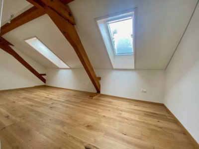 Magnifique appartement spacieux, adapté aux personnes à mobilité réduite, 3 pièces,  dans les  Combles, avec ascenceur image 1