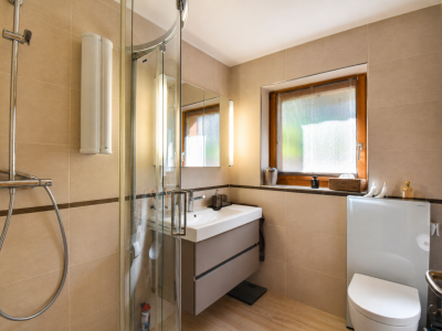 Magnifique appartements au coeur de Champéry image 9