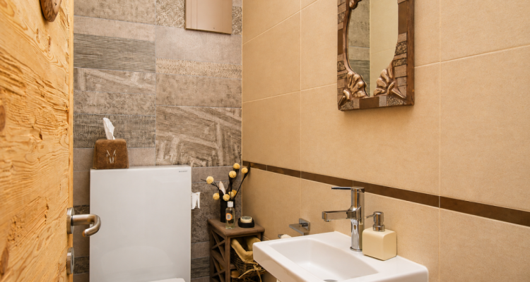 Magnifique appartements au coeur de Champéry image 10
