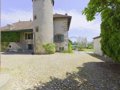 LA TOUR-MAISON FORTE DE BOURDIGNY-DESSOUS image 5