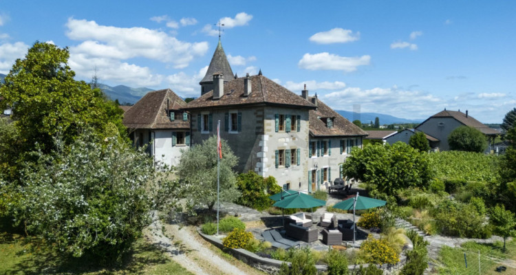 LA TOUR-MAISON FORTE DE BOURDIGNY-DESSOUS image 1