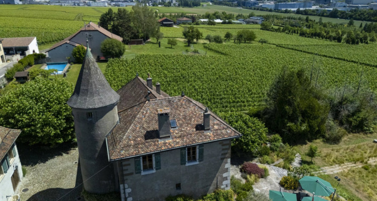 LA TOUR-MAISON FORTE DE BOURDIGNY-DESSOUS image 3