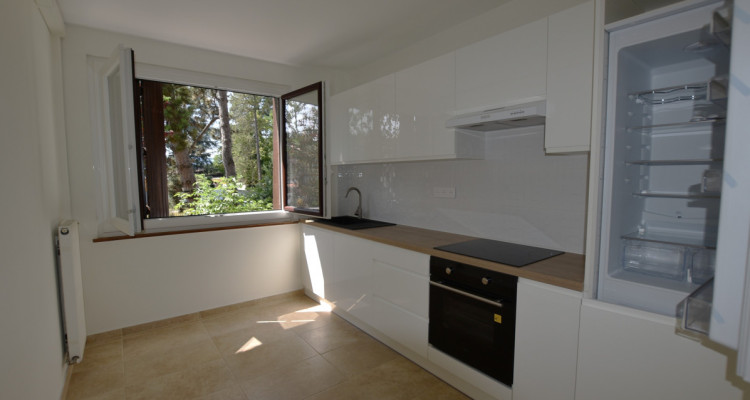 CHARMANT APPARTEMENT ENTIEREMENT RENOVE AU CENTRE DE VEIGY-FONCENEX image 3