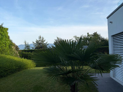 🏡 Appartement neuf 4,5 avec jardin privatif 252m2 image 1