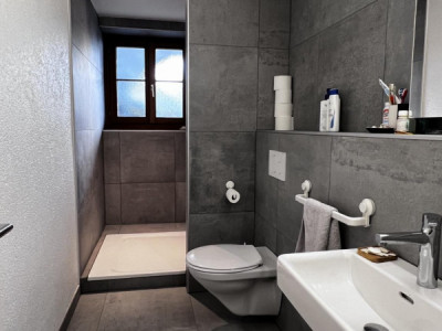 Charmant et spacieux appartement rénové avec terrasse image 5