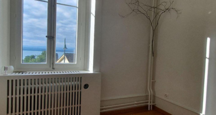 Charmant et spacieux appartement rénové avec terrasse image 7