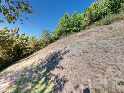 Magnifique terrain constructible de 893 m² à Flanthey (Lens) image 5